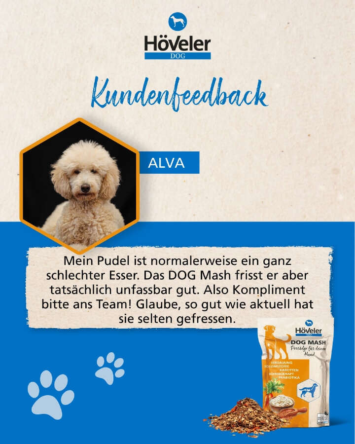 Hoeveler Dog Kundenstimme01 Aktion